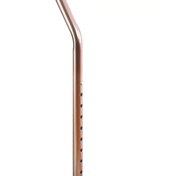 Cane
