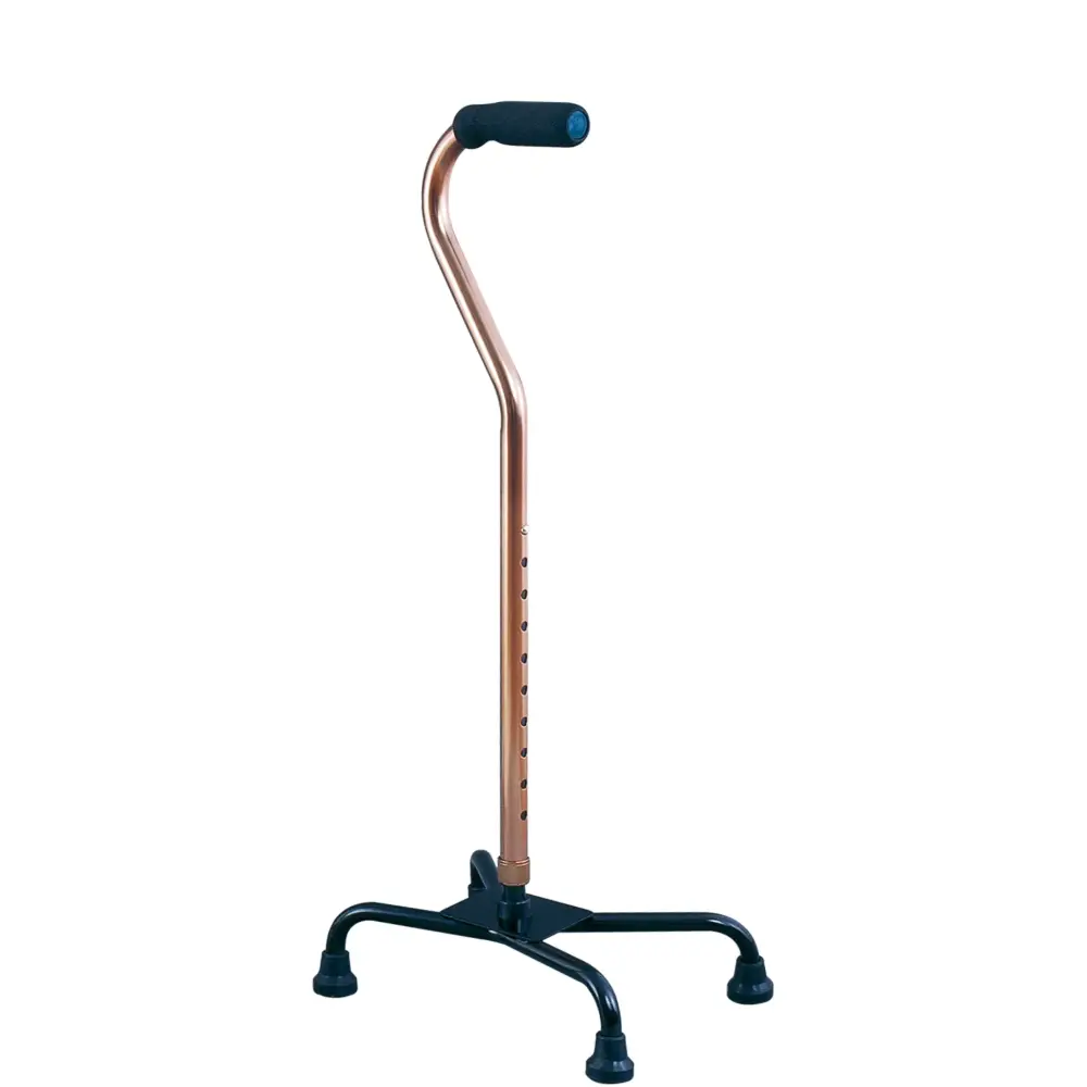 Cane