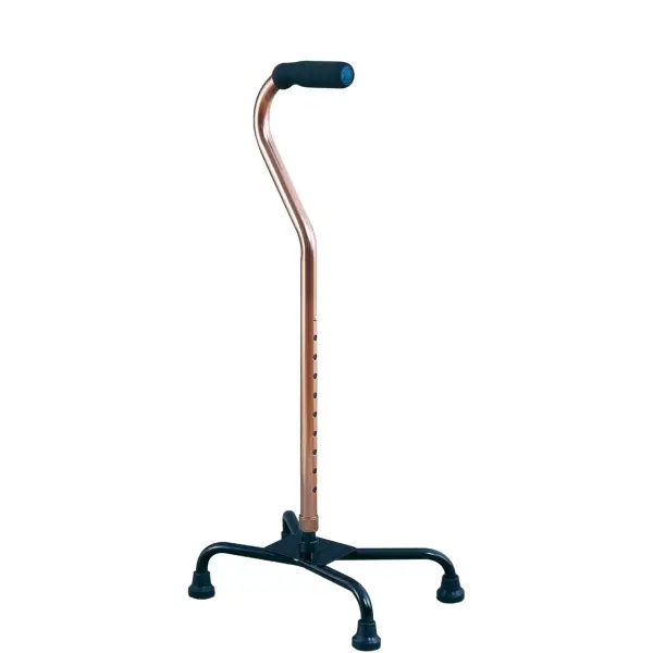 Cane